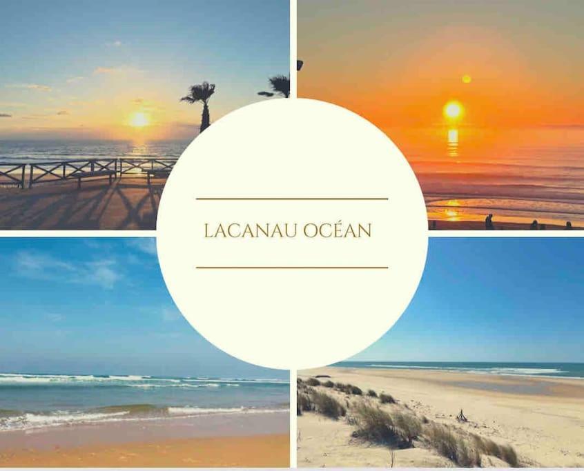 Cosy Studio Avec Vue Sur L'Ocean ลากาโน ภายนอก รูปภาพ